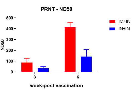 시험백신 접종 후 주차별 PRNT 결과