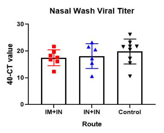 공격접종 3일 후 비강 세척액에서의 바이러스 역가 (40-CT value)