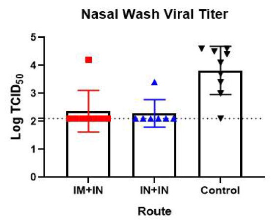 공격접종 3일 후 비강 세척액에서의 바이러스 역가 (TCID50)