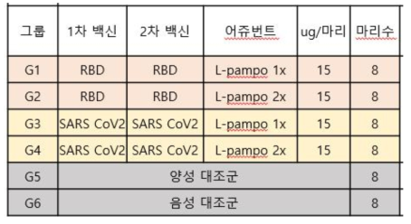 시험군의 구분