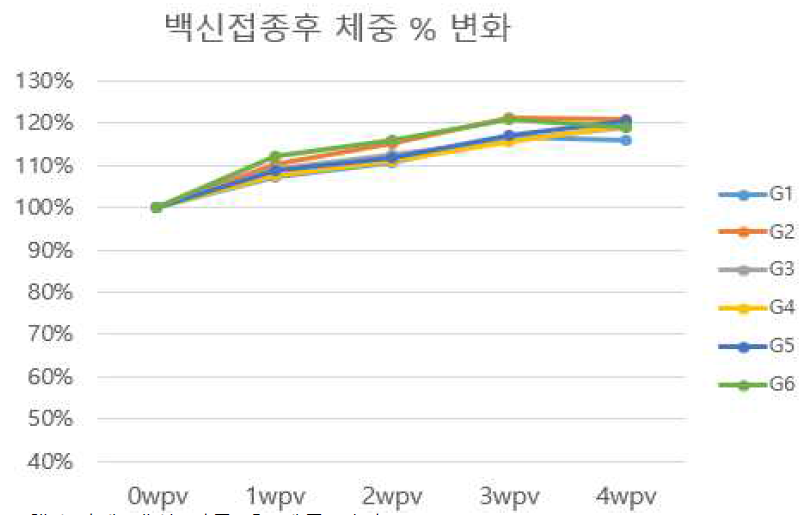 햄스터에 백신 접종 후 체중 변화