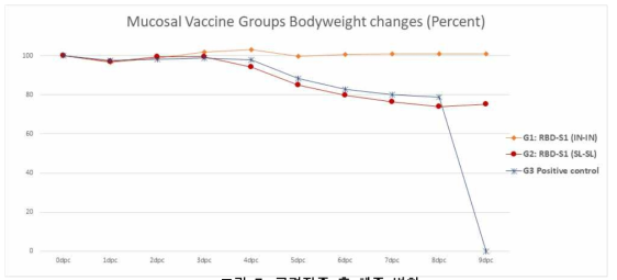 공격접종 후 체중 변화