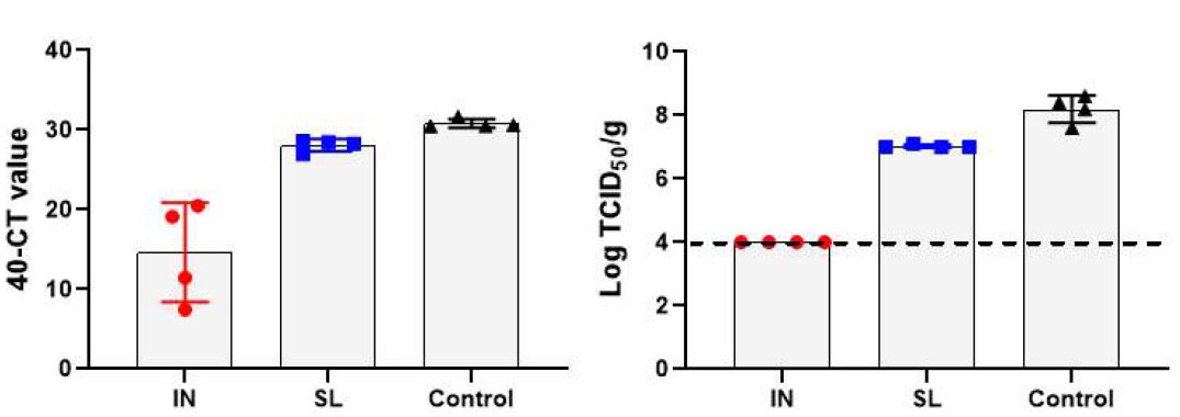 공격접종 4일 후 Lung Viral Load