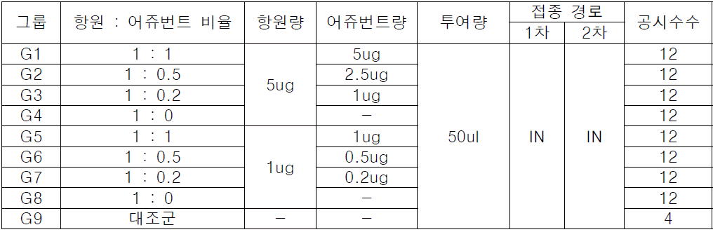 시험 그룹