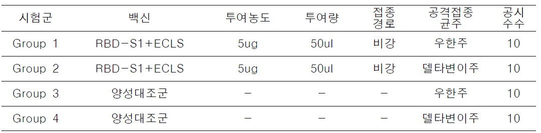 시험군의 구분