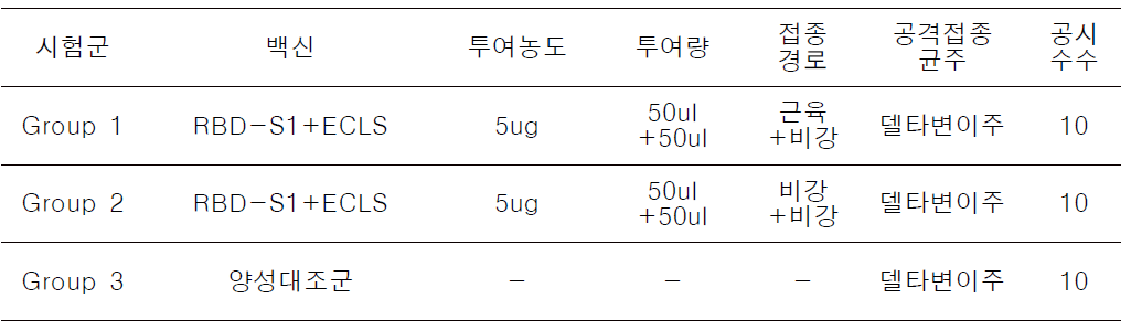 시험군의 구분