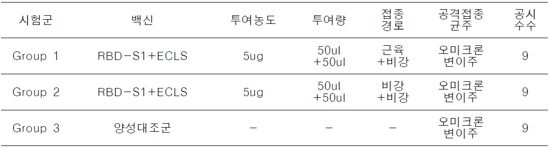 시험군의 구분