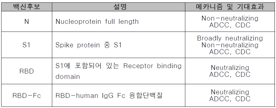 후보 항원별 설계 내용 및 기대 효과