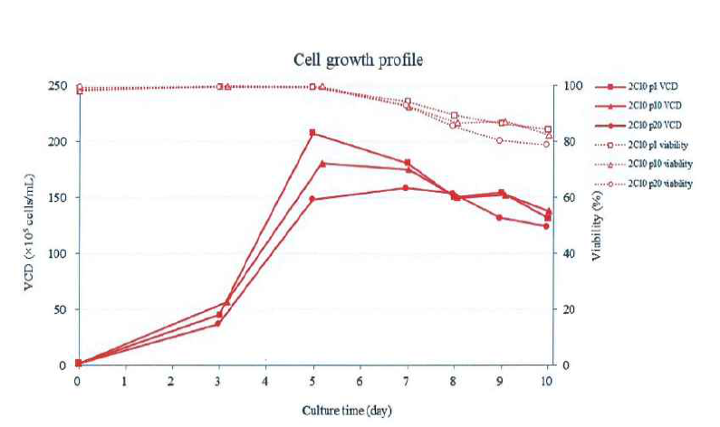 2C10 clone의 생산 안정성 test 결과