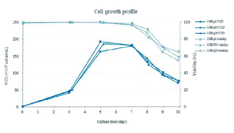 13H8 clone의 생산 안정성 test 결과