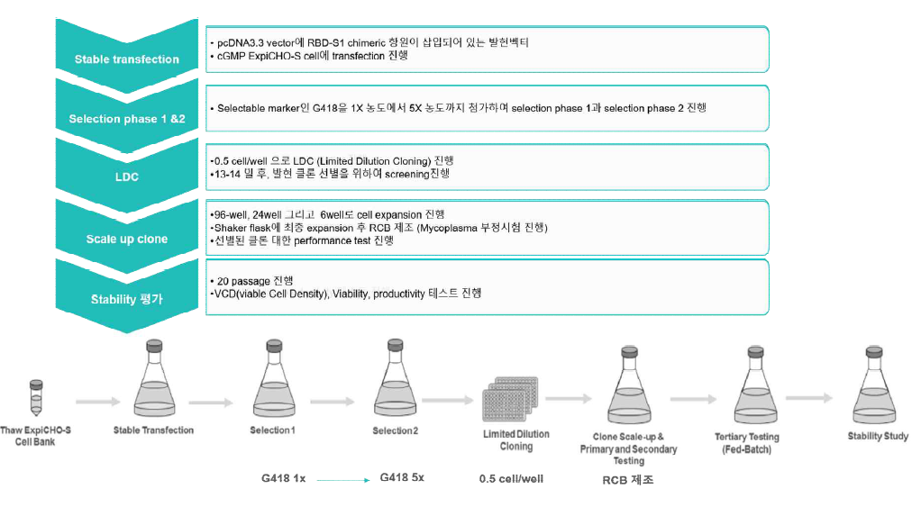 바이오노트 세포주 개발 업무 흐름도