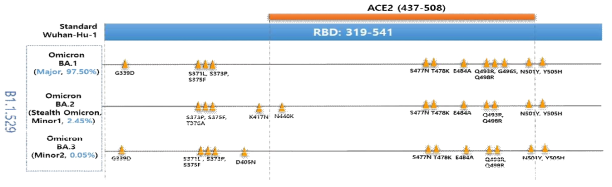 Omicron subtype 별 RBD 부위 내 변이