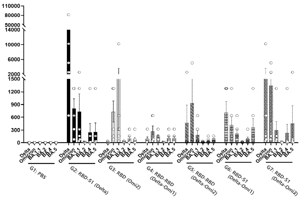 2차 동물 시험 : Omicron 관련 항원 중화항체가 유도 시험 결과