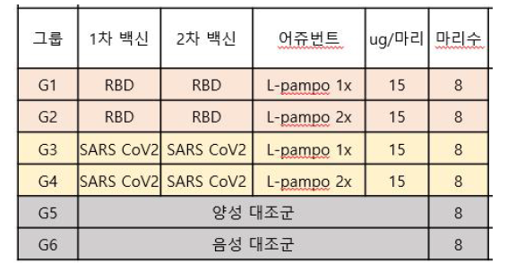 시험군의 구분