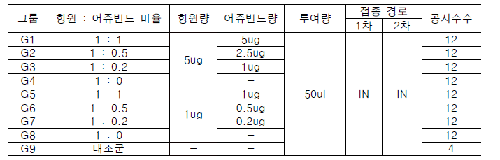 시험 그룹