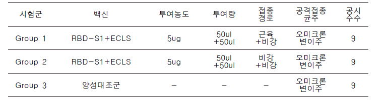 시험군의 구분