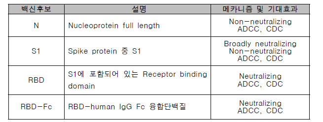 후보 항원별 설계 내용 및 기대 효과