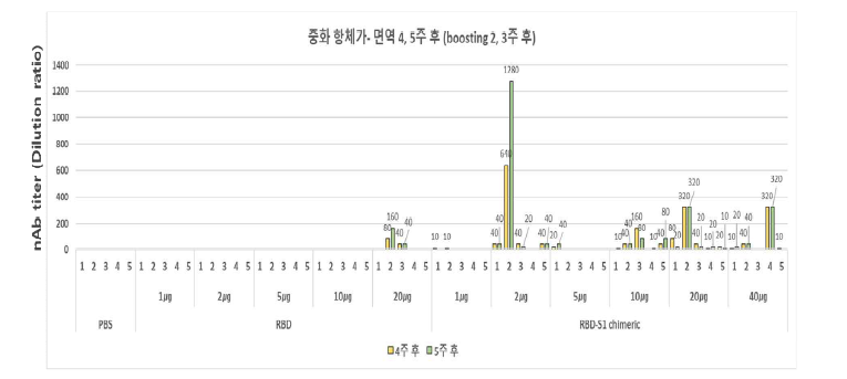 RBD, RBD-S1 항원의 중화능 유도 정도