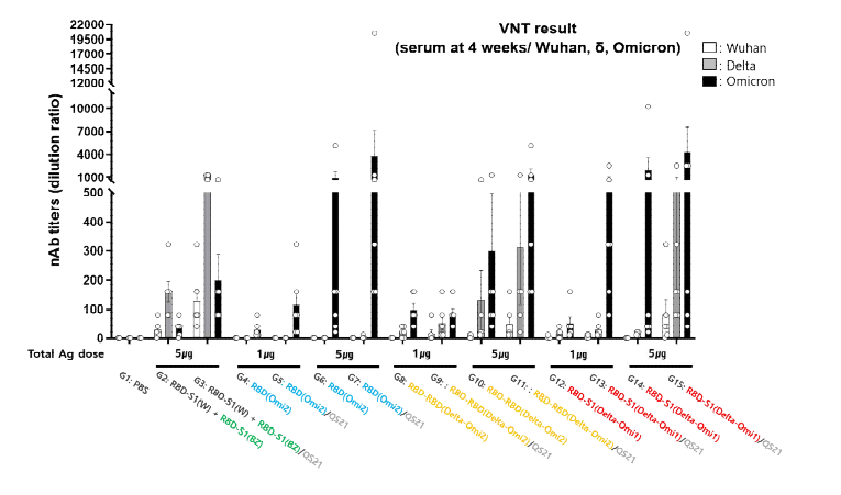 1차 동물 시험 : Omicron 관련 항원 중화항체가 유도 시험 결과