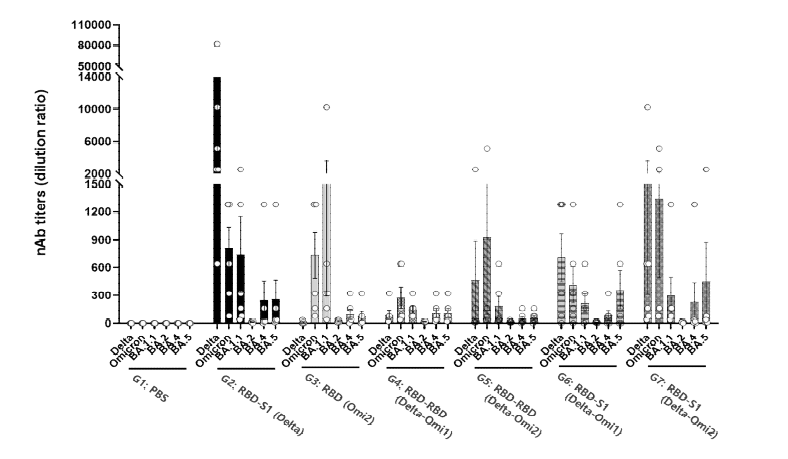 2차 동물 시험 : Omicron 관련 항원 중화항체가 유도 시험 결과