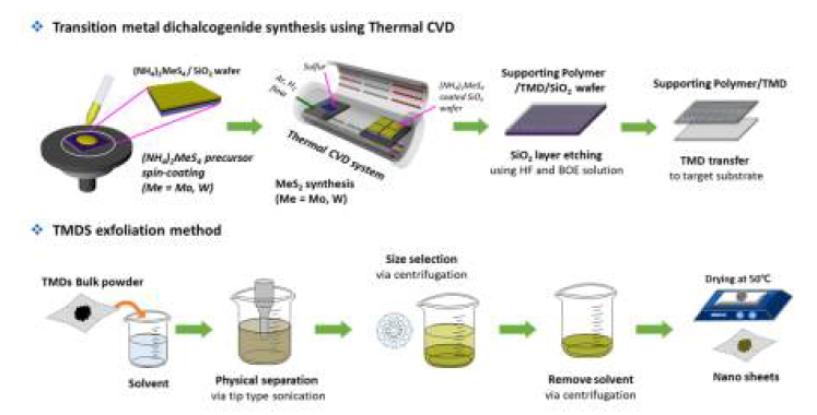 전이금속 화합물(Transition Metal Dichalcogenides) MoS2와 WS2, TiS2를 Thermal CVD와 exfoliation 방법을 통해 합성