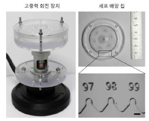 고중력 회전 장치와 세포 배양 칩 사진