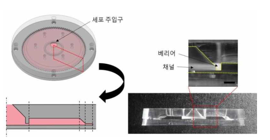 세포 배양 칩의 구조