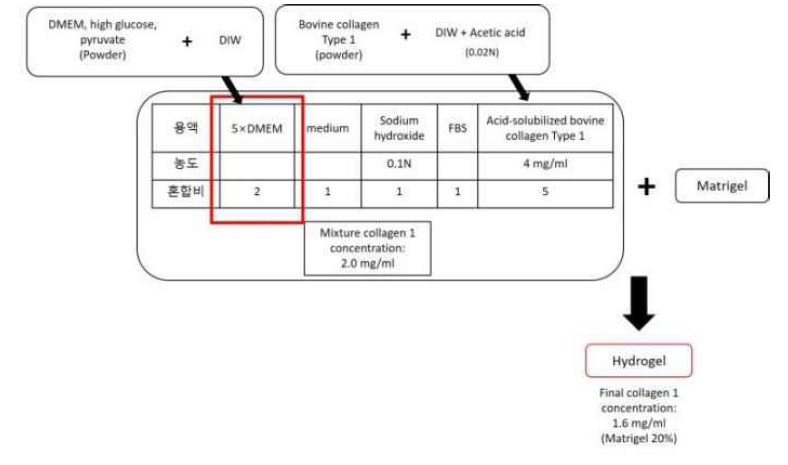 Matrigel 및 콜라겐Ⅰ을 배합하여 하이드로겔을 만드는 과정