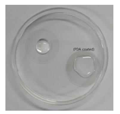 PDA 코팅을 통한 표면