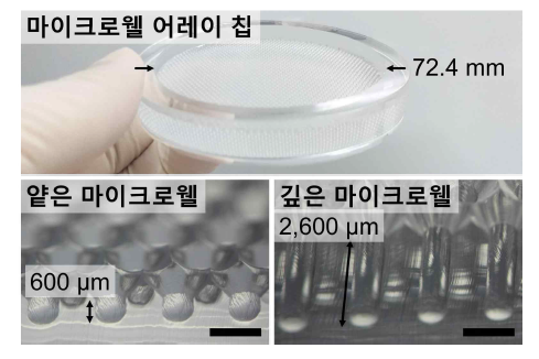 제작된 마이크로웰 어레이 칩의 모습과 그 깊이에 따른 마이크로웰 형상(scale bar = 1 mm)