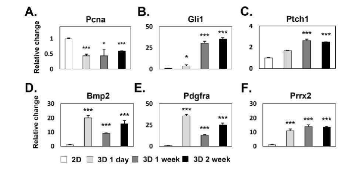 마이크로웰의 3차원 미세환경에 의한 모낭 유래 세포의 mRNA 발현