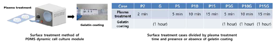 PDMS 동적 세포 배양 모듈의 표면처리 및 수행된 표면처리 케이스