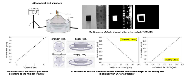 EAP의 개수, EAP와 맞닿는 구동부 기둥의 지름 및 높이에 따른 actuator의 변형량 확인