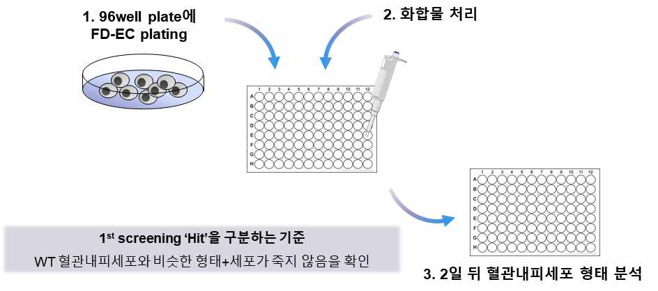 1차 임상화합물 스크리닝 방법 개요