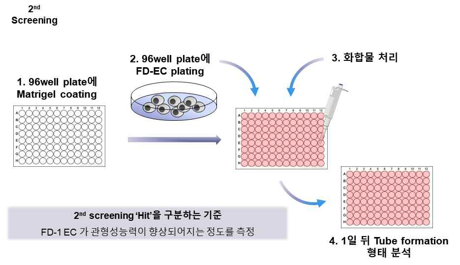 2차 스크리닝 방법 개요