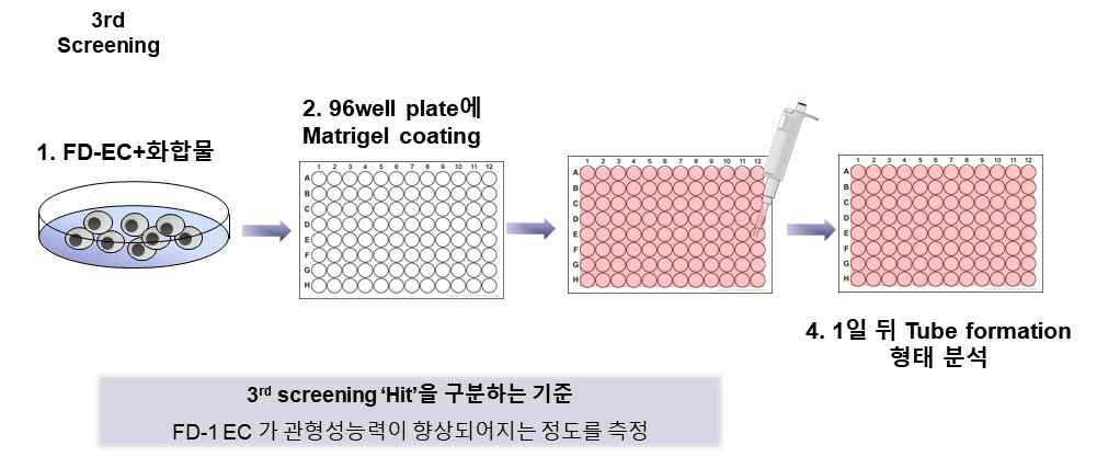 3차 스크리닝 방법 개요