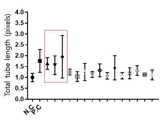 3차 스크리닝 결과 (N.C=negative control, P.C=postivie control). 빨강 네모 안에 있는 신약 약물 후보가 최종적으로 파브리병 혈관병증 치료를 위한 약물로 선정 됨. (농도 : 5um)