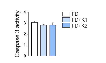 파브리병 역분화줄기세포 유래 혈관내피세포에서 선정 약물 투여시 Caspase 3 활성 분석을 통한 Viability 조사