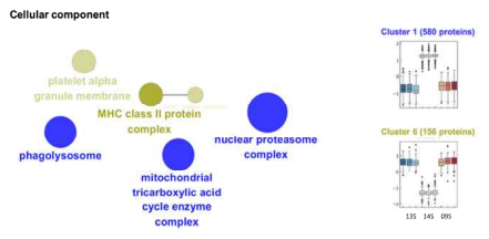 단백체 기능분석: cellular component