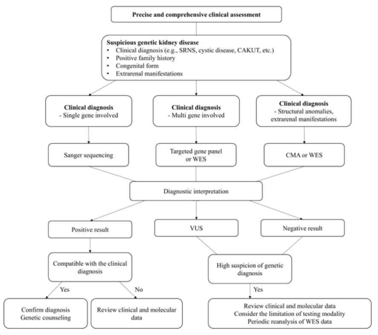 다양한 소아 신장 질환에 대한 유전자 분석 알고리즘