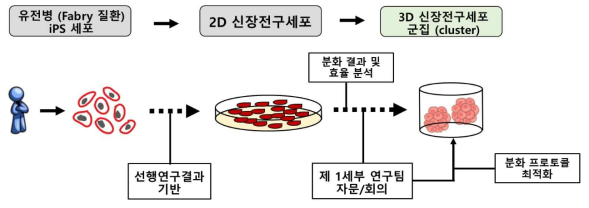 1차년도 연구목표 달성을 위한 추진 전략의 모식도