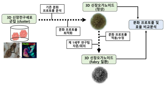 2차년 및 3차년도 연구목표 달성을 위한 추진 전략의 모식도