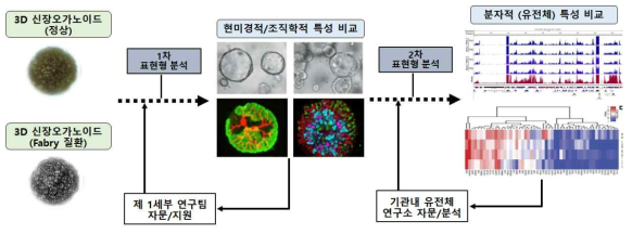 4차년도 연구목표 달성을 위한 추진 전략의 모식도