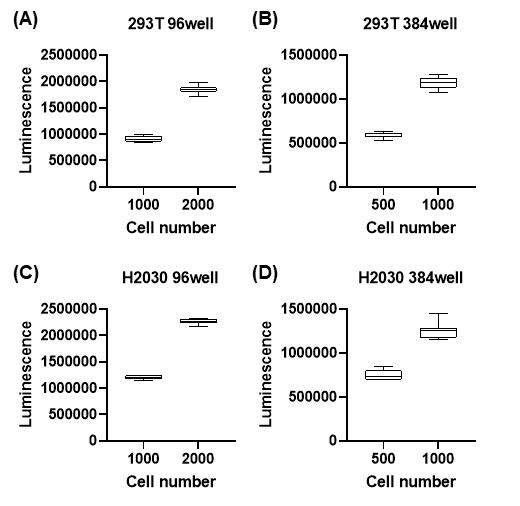 High-through put screening 실험조건 확립. (A-B) 293T 세포주를 (A) 96well, (B) 384well plate에 plating하여 세포 생존도를 측정하였다. (C-D) H2030 세포주를 (C) 96well, (D) 384well plate에 plating하여 세 포 생존도를 측정하였다.