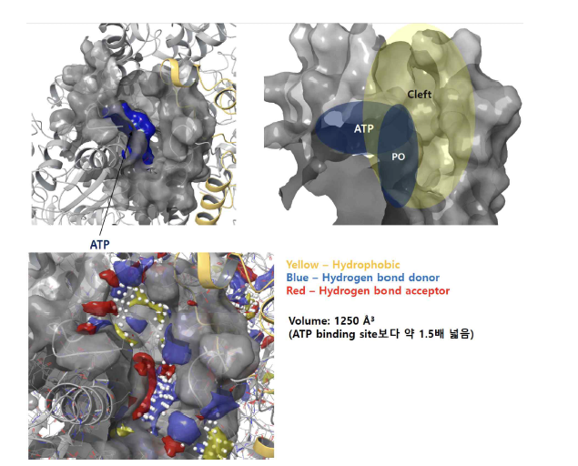 Druggable ATP binding site에 대한 정밀 분석