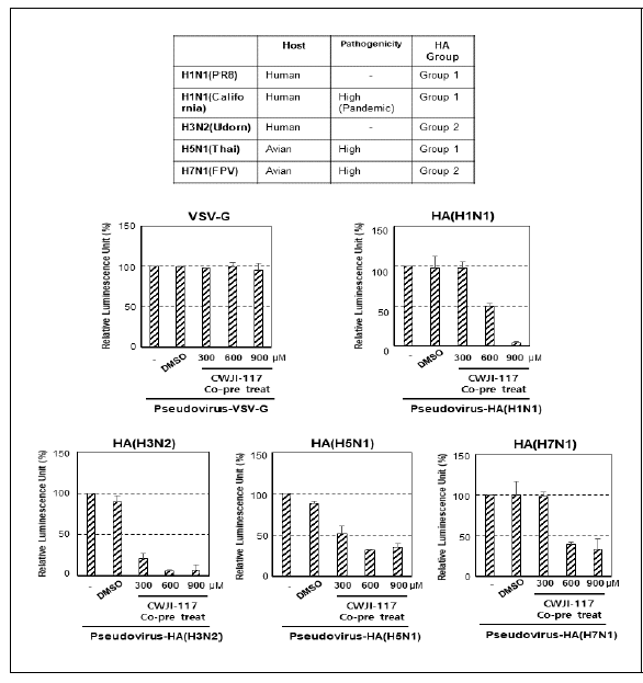 유기저분자 소 독물질이 각기 다른 Subtype별, 고병원성과 저병원성 pseudotype 바 이러스에 미치는 영향 분 석 293T 세포주에 pseudotype 바이러스 생 산에 필요한 여러 p l a s m i d 들 을 transfection후 바이러스 확보. Pseudotype바이러 스에 TPCK처리후 각기다 른 농도의 유기저분자 소 독물질을 Co-treatment 후에 세포주에 t r a n s d u c t i o n 함 . Transduction후 48시간 뒤에 serum free 배지로 교체후 brigh glo를 넣어 준후 microplate reader 에서 luminescence값을 측정함.