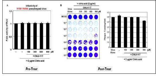 유기저분자 소독물질과 citric acid 혼합이 고병원성 조 류인플루엔자바이러스 억제 기전 검증 (A) H1N1 슈도바이러스 활 용 세포내 receptor에 유기저분 자 소독물질과 citric acid가 미 치는 영향 분석 (pre-treatment) (B) 인플루엔자바이러스 PR8을 MDCK 세포주에 감염 후 유기저 분자 소독물질과 citric acid처리 후 인플루엔자바이러스의 복제에 미치는 영향 분석