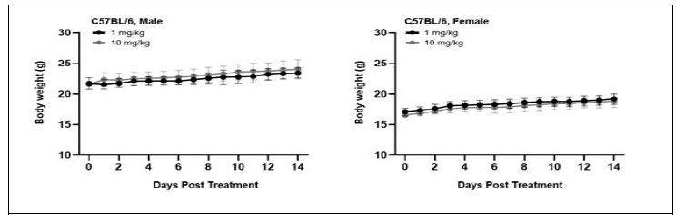 단독투여 실험 후 male (왼쪽) 및 female (오른쪽) 마우스 체중 변화 관찰