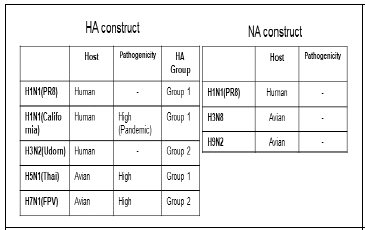 조류인플루엔자 HA/NA construct 제작후 확보 list.