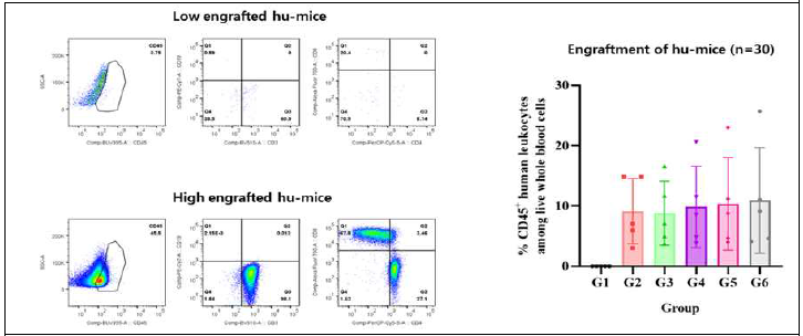 인간말초혈액단핵세포를 이용한 인간화생쥐 제작 및 분석(n=30)
